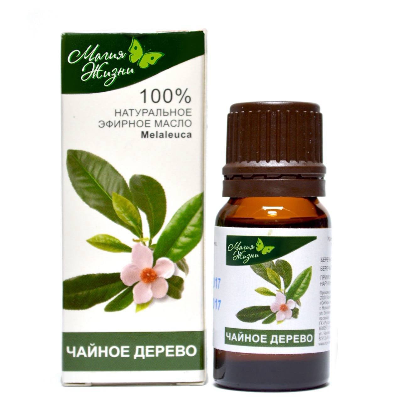 чайное дерево чайное дерево