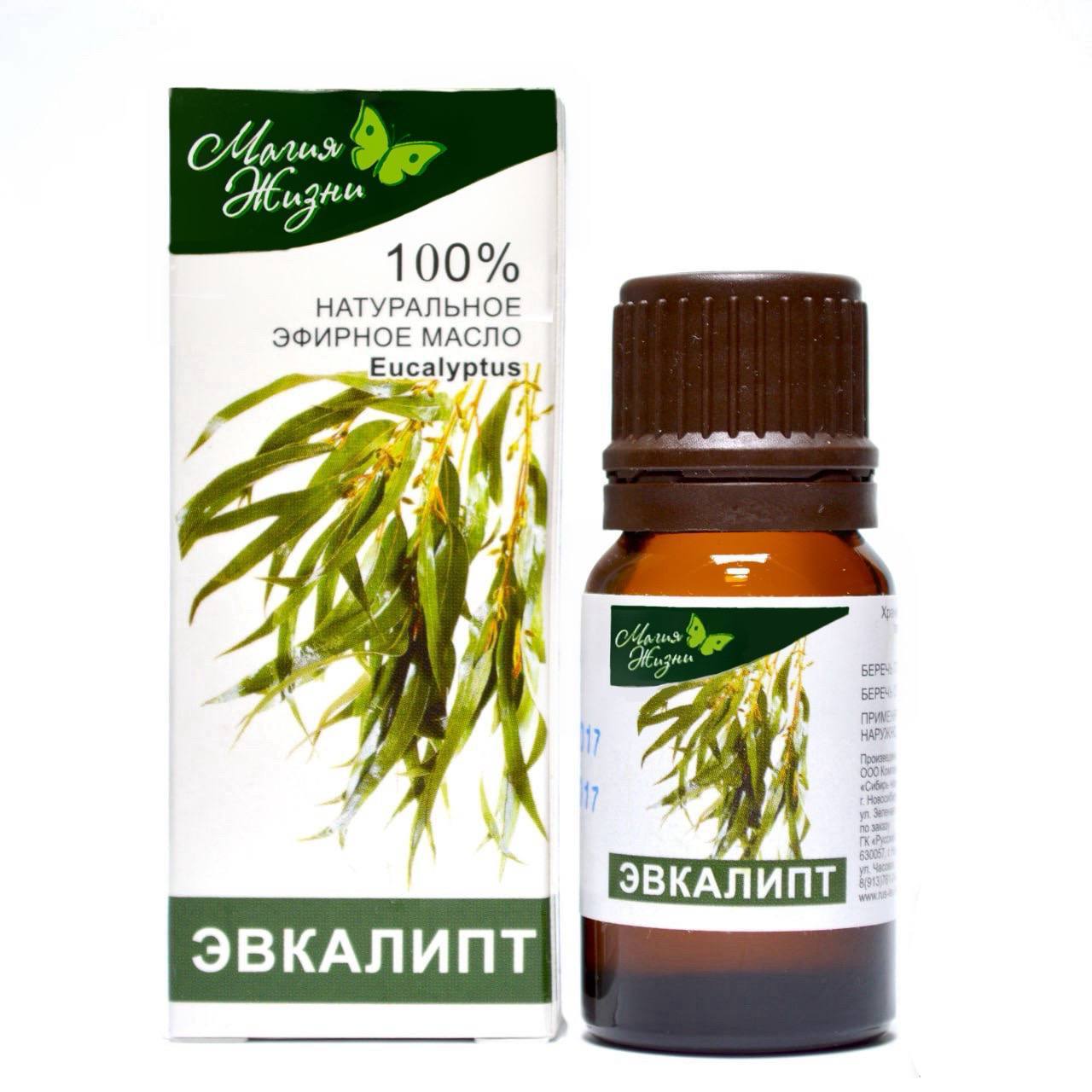 эвкалипт эвкалипт